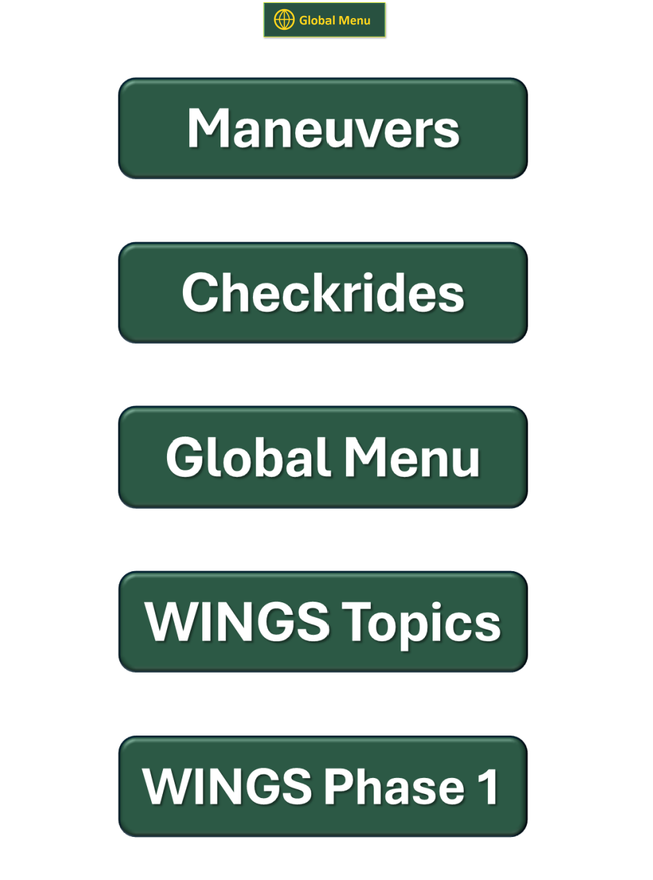 The ACE Guide quick link menu with buttons for Maneuvers, Checkrides, Global Menu, WINGS Topics, and WINGS Phase 1